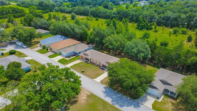 10407 S DREW BRYANT CIRCLE, Floral City, FL 34436