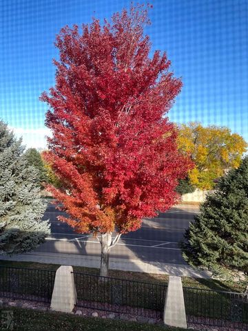 4141 Outlook Blvd Unit E, Pueblo, CO 81008