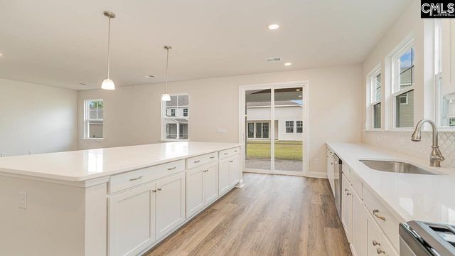 224 Livingston Woods Drive, Irmo, SC 29063