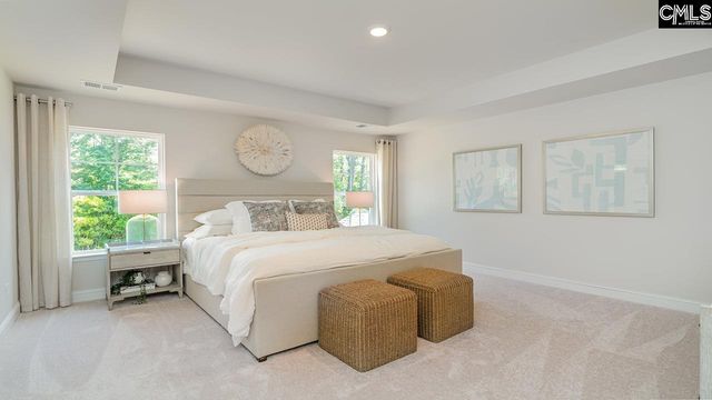 224 Livingston Woods Drive, Irmo, SC 29063