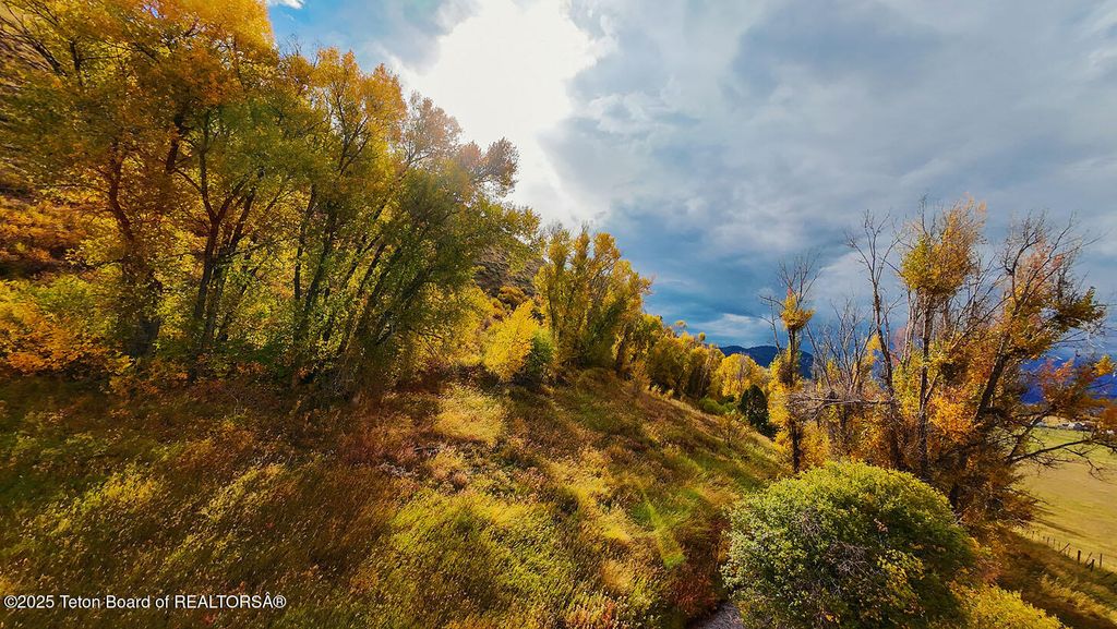 70 ACRES TWIN CLIFFS ROAD, Afton, WY 83110 photo 30