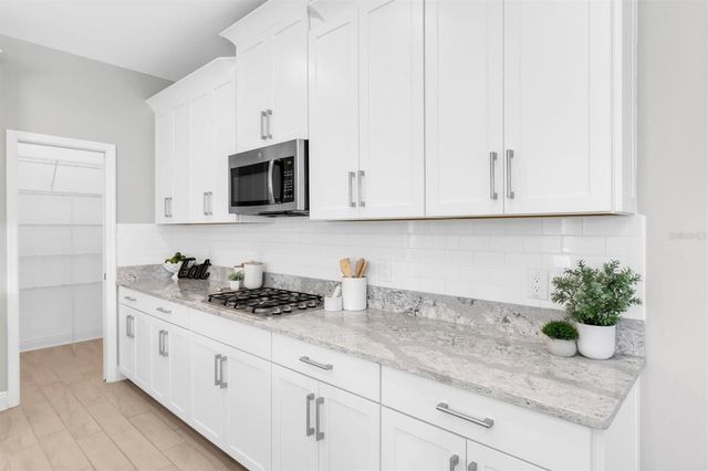 12336 TIBBETTS STREET, Odessa, FL 33556