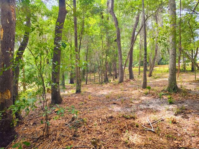 FITZHUGH AVENUE, Brooksville, FL 34601