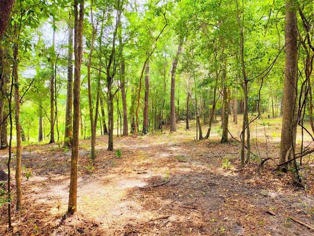 FITZHUGH AVENUE, Brooksville, FL 34601