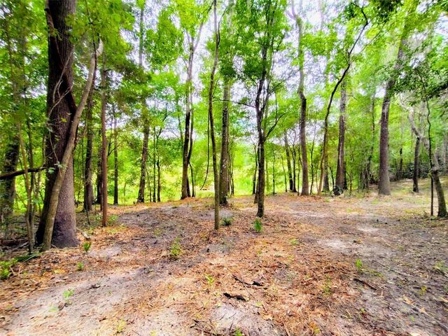 FITZHUGH AVENUE, Brooksville, FL 34601