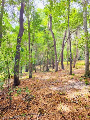 FITZHUGH AVENUE, Brooksville, FL 34601