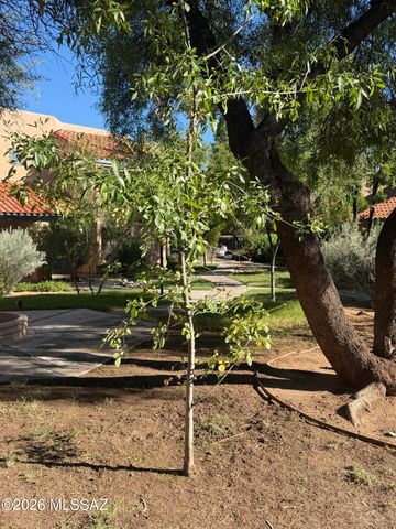 5402 N Via Del Arbolito, Tucson, AZ 85750