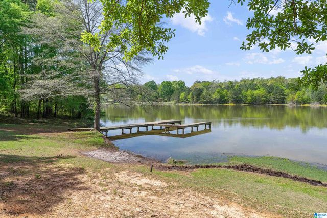 20 SEDDON POINT, Pell City, AL 35128