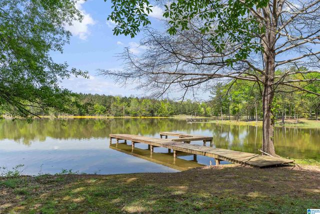 20 SEDDON POINT, Pell City, AL 35128