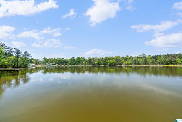 20 SEDDON POINT, Pell City, AL 35128