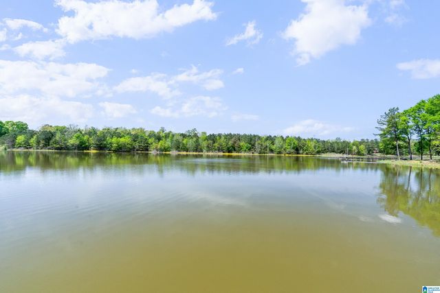 20 SEDDON POINT, Pell City, AL 35128