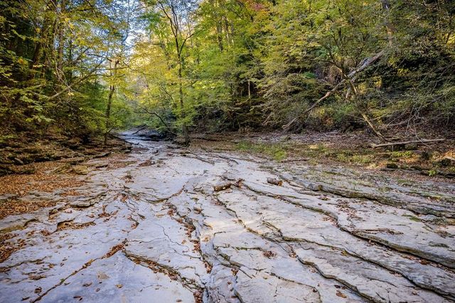 1050 Pine Creek Falls Rd, Smithville, TN 37166