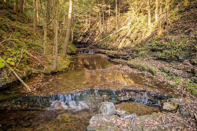 1050 Pine Creek Falls Rd, Smithville, TN 37166