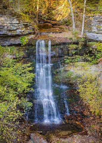 1050 Pine Creek Falls Rd, Smithville, TN 37166