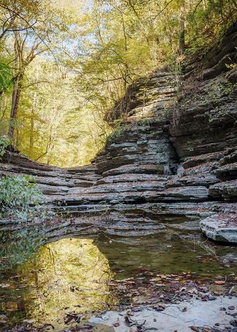 1050 Pine Creek Falls Rd, Smithville, TN 37166