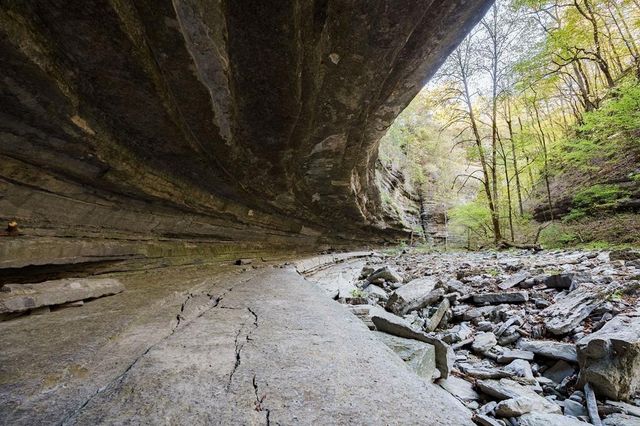 1050 Pine Creek Falls Rd, Smithville, TN 37166