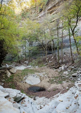 1050 Pine Creek Falls Rd, Smithville, TN 37166