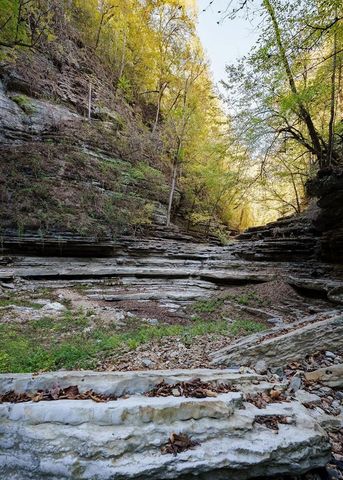 1050 Pine Creek Falls Rd, Smithville, TN 37166