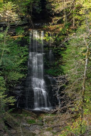 1050 Pine Creek Falls Rd, Smithville, TN 37166