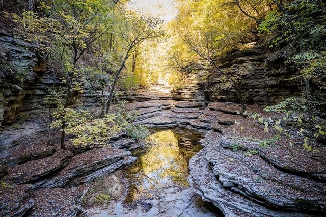 1050 Pine Creek Falls Rd, Smithville, TN 37166