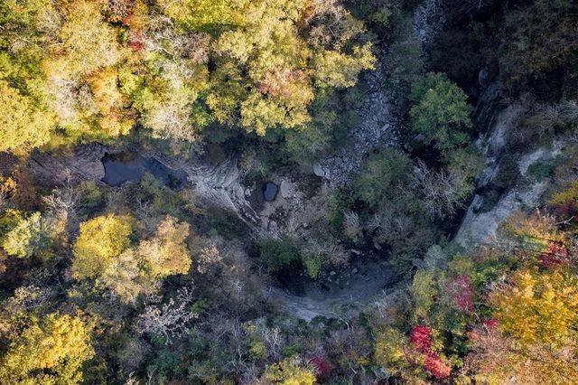 1050 Pine Creek Falls Rd, Smithville, TN 37166