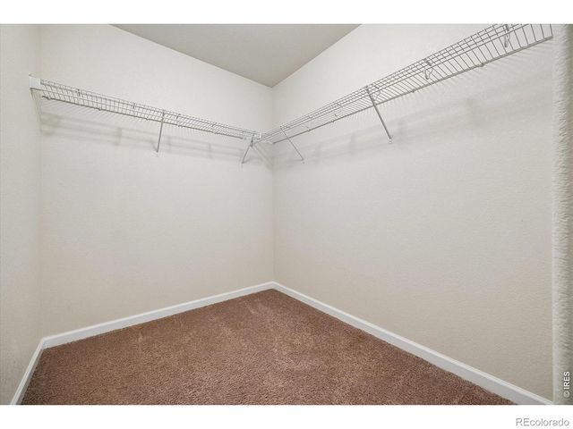 1211 Bistre Street, Longmont, CO 80501