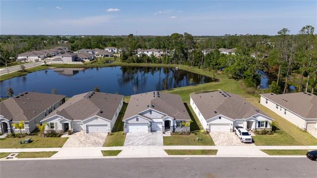 23231 SCAGLIONE DRIVE, Lutz, FL 33549