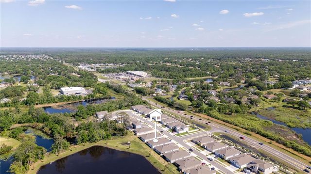 23231 SCAGLIONE DRIVE, Lutz, FL 33549