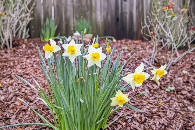 3017 Crestwood Way, Rocklin, CA 95765