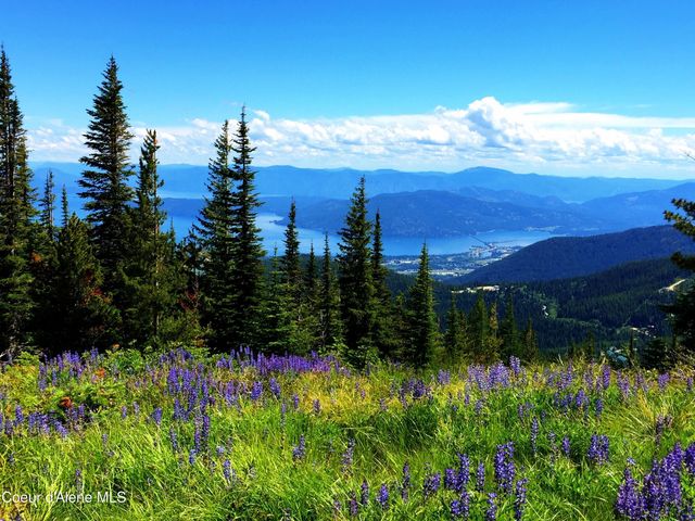 4 Crystal Springs Rd, Sandpoint, ID 83864