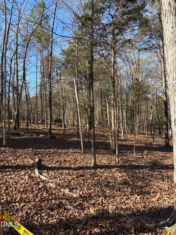 93 Firefly Overlook, Pittsboro, NC 27312