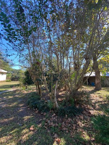 6175 NE Colin Kelly Highway, Madison, FL 32340