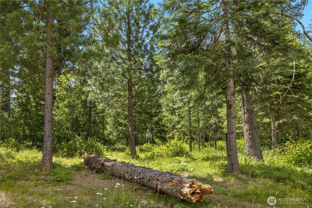 21 Old Grove Trail, Cle Elum, WA 98922