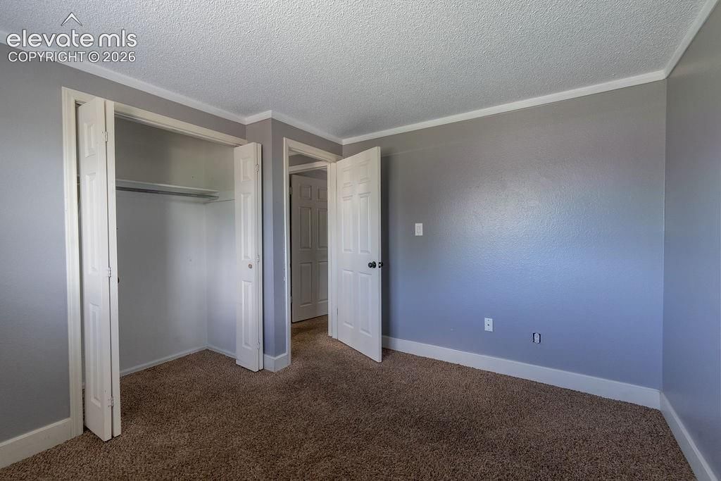 4738 Portrait Place, Colorado Springs, CO 80917 — photo 4