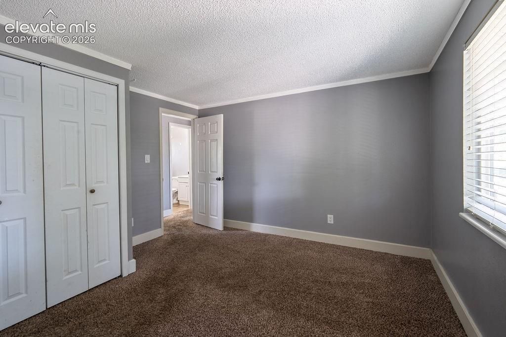 4738 Portrait Place, Colorado Springs, CO 80917 — photo 5