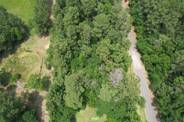 16719 Wagon Wheel Rd, Stagecoach, TX 77355