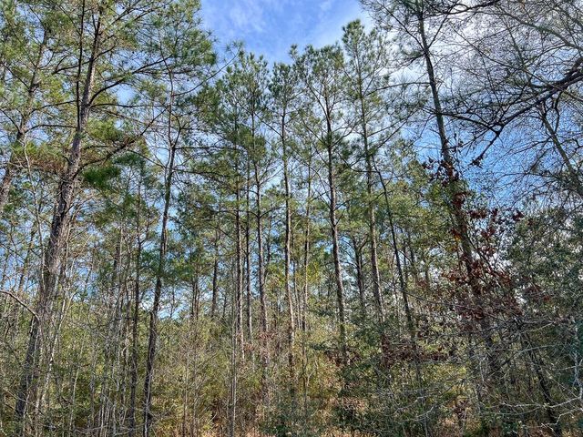 T-1 Zavalla Road, Mauriceville, TX 77626