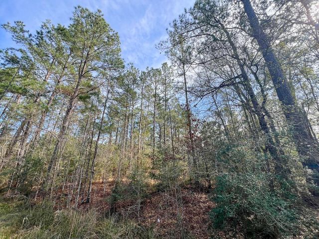 T-1 Zavalla Road, Mauriceville, TX 77626