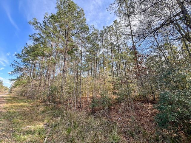 T-1 Zavalla Road, Mauriceville, TX 77626