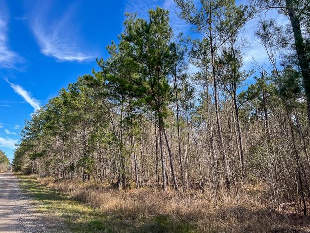 T-1 Zavalla Road, Mauriceville, TX 77626