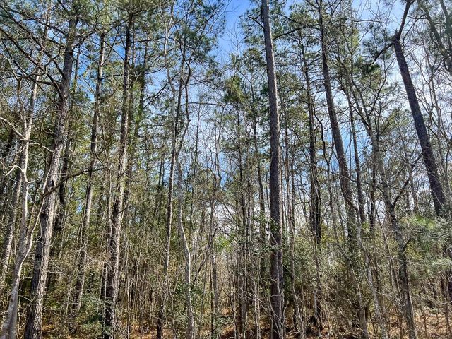 T-1 Zavalla Road, Mauriceville, TX 77626