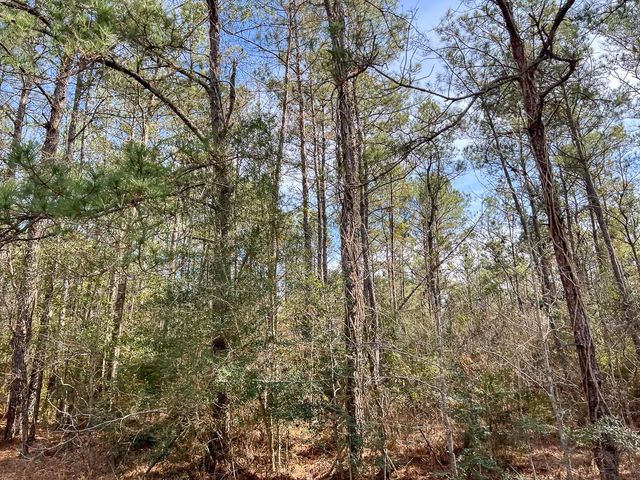 T-1 Zavalla Road, Mauriceville, TX 77626