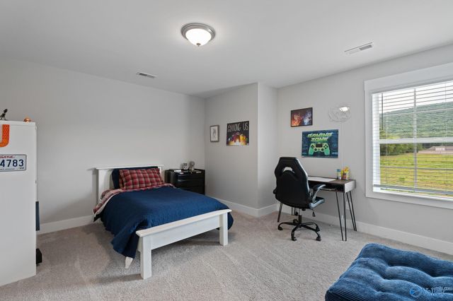7529 Speckle Belly Boulevard SE, Owens Cross Roads, AL 35763