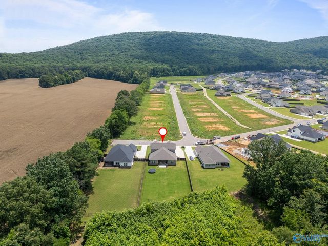 7529 Speckle Belly Boulevard SE, Owens Cross Roads, AL 35763