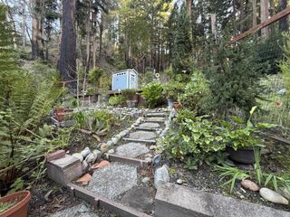 535 Burnside, Boulder Creek, CA 95006