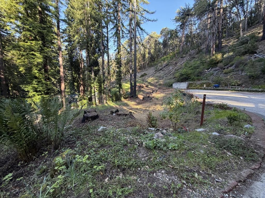 Image 9 of property listing at 535 Burnside, Boulder Creek, CA 95006