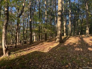 VL Rock Valley Road, Metamora, MI 48455