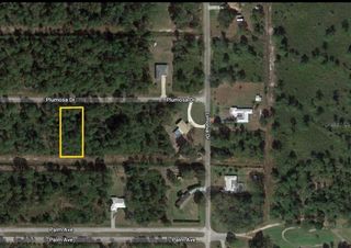 0 PLUMOSA DRIVE, Indian Lake Estates, FL 33855