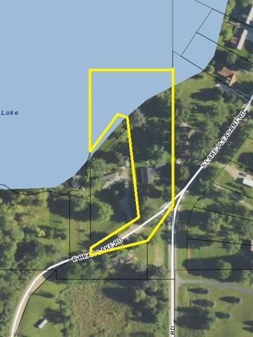 4492 E Bear Lake Road, Osseo, MI 49266