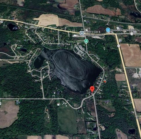 4492 E Bear Lake Road, Osseo, MI 49266